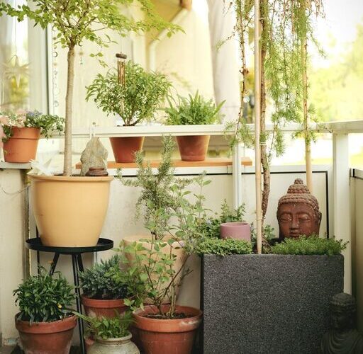 Tips for Creating a Relaxing Garden Space at Home