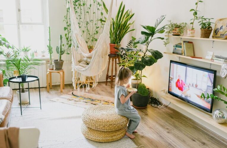 Tips for Creating a Cozy and Inviting Living Space on a Budget