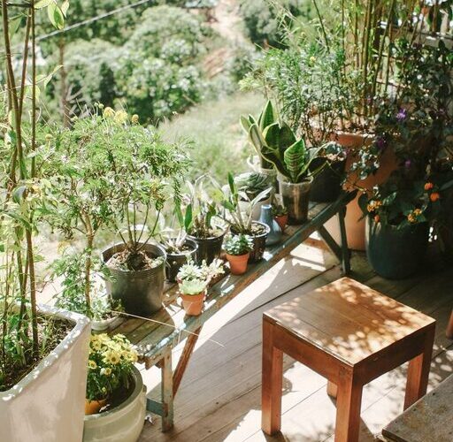 Tips for Creating a Relaxing Outdoor Garden Space at Home