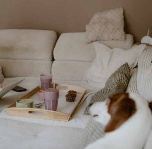 Tips for Creating an Inviting and Cosy Living Room Space